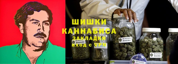сатива Абдулино