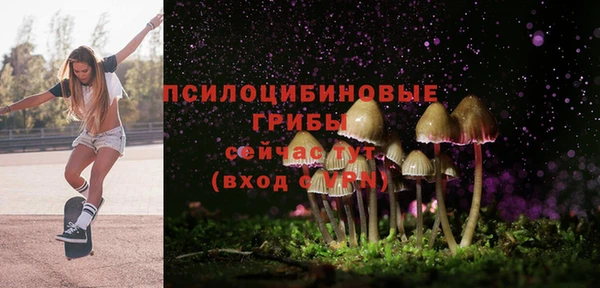 сатива Абдулино