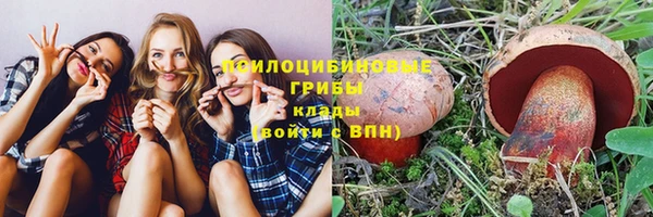 а пвп мука Абаза