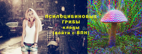 а пвп мука Абаза