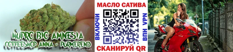 ТГК гашишное масло  что такое наркотик  Алзамай 